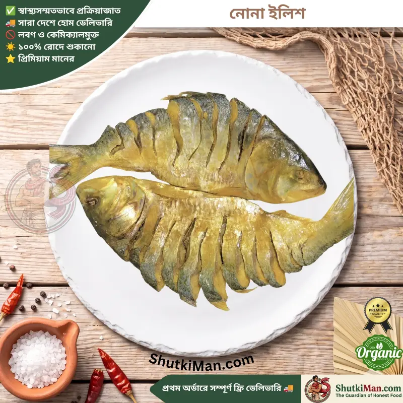 নোনা ইলিশ
